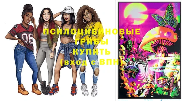 меф Дмитров