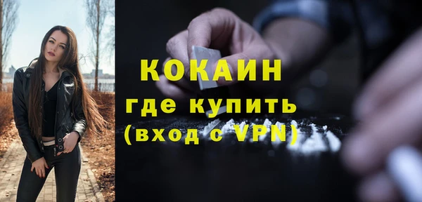 тгк Дмитриев