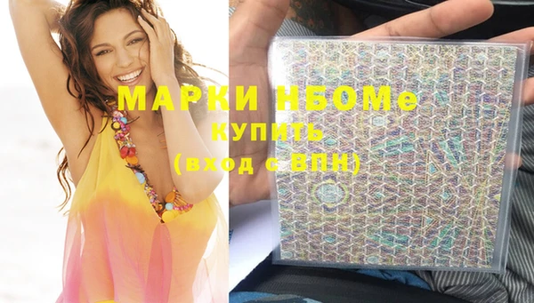тгк Дмитриев