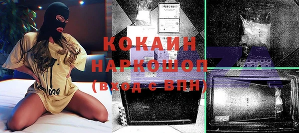 тгк Дмитриев