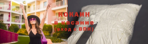 тгк Дмитриев