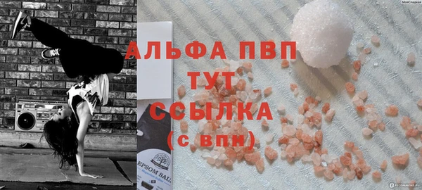тгк Дмитриев