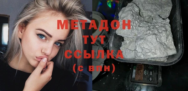тгк Дмитриев