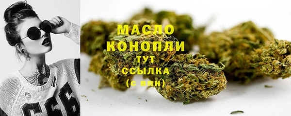 тгк Дмитриев