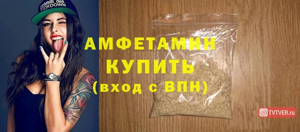тгк Дмитриев