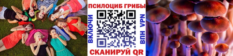 магазин продажи   Дубовка  Псилоцибиновые грибы Magic Shrooms 